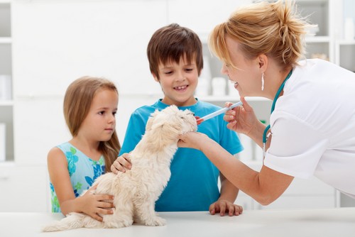 Vaccinations Rolling Prairie, IN